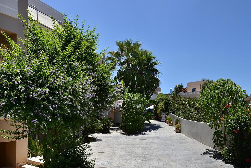 Agia Marina Akatos Hotel מראה חיצוני תמונה